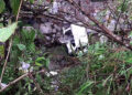 3 died in vehicle accident