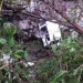 3 died in vehicle accident