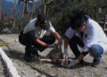 Rabies outbreak in Phuentshogling and Sampheling Gewogs