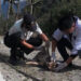 Rabies outbreak in Phuentshogling and Sampheling Gewogs