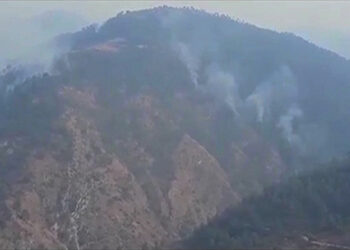 Two separate forest fires in Udzorong, Yangnyer gewogs contained