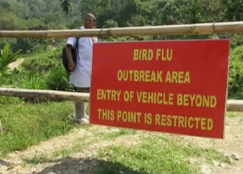 Bird flu outbreak at Dhamdara cointained