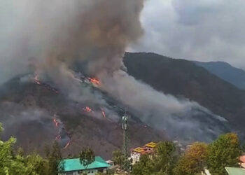 Rain helps to contain forest fire in Trashigang