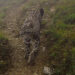 Engaging local community in conserving snow leopards