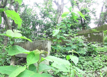 A Deserted Park of Bangtsho, Samdrup Jongkhar