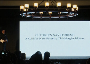 Cut Trees, Save Forest:a call for a new forestry thinking in Bhutan