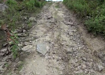 Tshetena Farm Road, a seasonal road