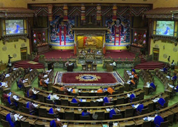 NA adopts the motion for a policy to substitute import of LPG