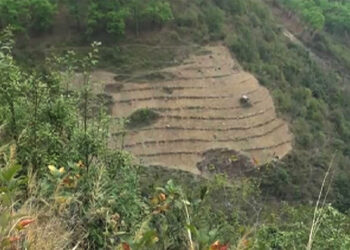 SLMP, improving productivity in Thang-Rong