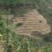 SLMP, improving productivity in Thang-Rong