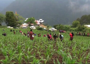 SLMP gaining popularity in Monggar