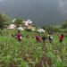 SLMP gaining popularity in Monggar
