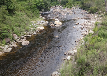 9-year-old girl drowns in Monggar