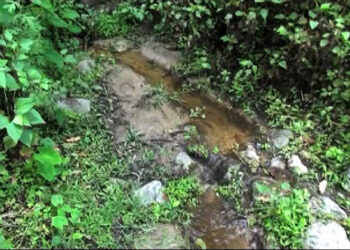 Bali’s source of irrigation fluctuates with the weather