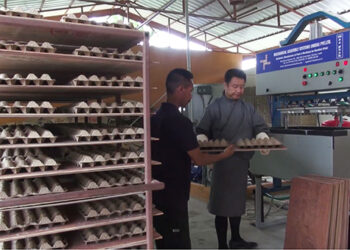 Egg tray manufacturing unit in SJ doing well