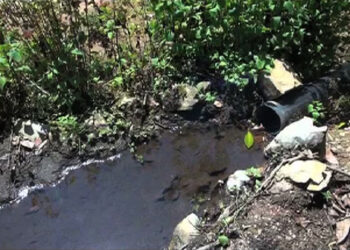 Oleps’ irrigation water supply woes