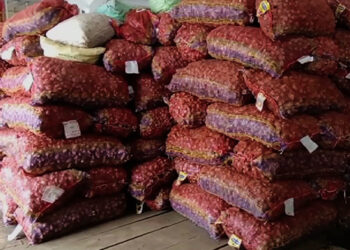 Ginger price reached new high in Samdrup Jongkhar