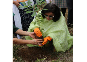 Tree saplings planted at Kuensel Phodrang to mark World Environment Day