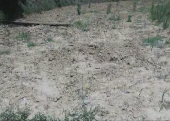 Human-wildlife conflict continues to remain a major challenge in Gase Tshongongm Gewog