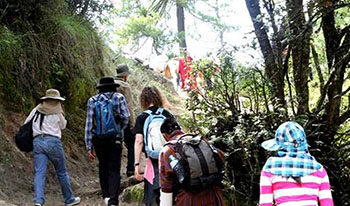 Need specialised guides to promote ecotourism