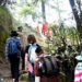 Need specialised guides to promote ecotourism