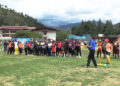 Developing cricket