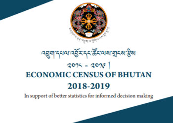 The limitations of Economic Census report