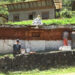 Chortens whitewashing, a voluntary project