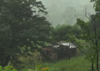 Locals of Gashari want electricity supply in Tadzong