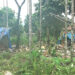 The return of wild elephants in Samdrupling