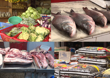 Import of food items from India decreased by about Nu 700 M