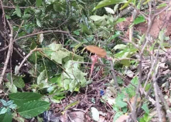 Gasa car accident- 2 reported missing