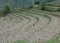 Farmers of Gangzur praying for monsoon