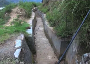 Dochhukha_Dzomlingthang_Ritsa chiwog without water for irrigation
