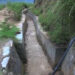 Dochhukha_Dzomlingthang_Ritsa chiwog without water for irrigation