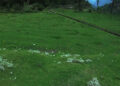 A multi-sports complex in the current plan for Trongsa
