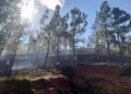 Pasakha Fire