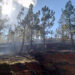 Pasakha Fire