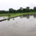Rice farmers in Sarpang blessed with timely rainfall