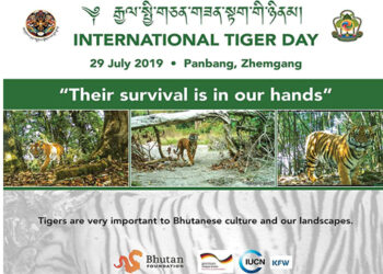 International Tiger Day