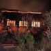 Woman dies in house fire