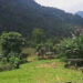 Power outages in Bjoka stretching to a month
