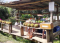 Honesty box; a stall unmanned in Dagana