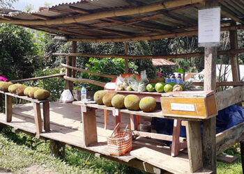 Honesty box; a stall unmanned in Dagana