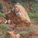 Aftermath of monsoon leaves farmers worried