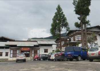 Herbal medicines to the rescue of alcohol and tobacco addictions