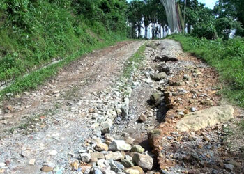 Poor road condition between Dangling and Umling Dungkhag Office