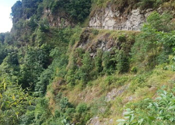 A 40-year-old man dies in a motor vehicle accident