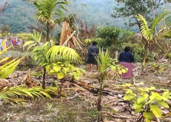 Elephants, a constant menace for locals of Arden- Pema Gatshel