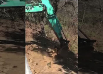 Locals of Jongthang unhappy with the proposed location of the motorable bridge, Trongsa